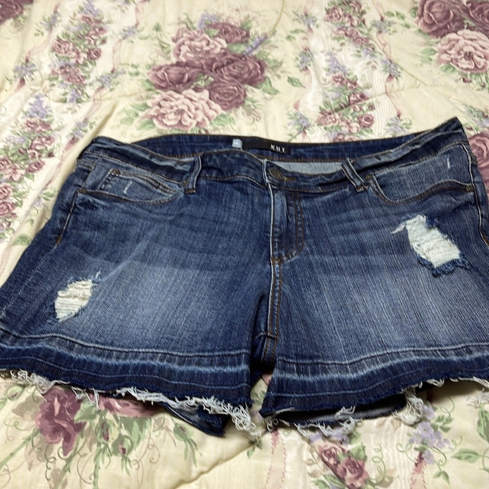 Kut From The Kloth Andrea Shorts